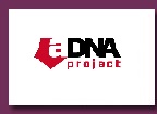 logo a.DNA Collective